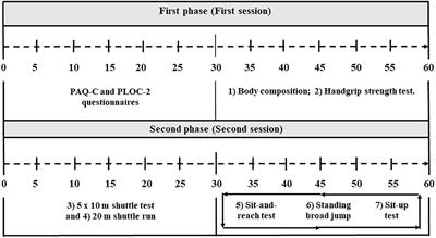 Relationship Between the Practice of Physical Activity and Physical Fitness in Physical Education Students: The Integrated Regulation As a Mediating Variable